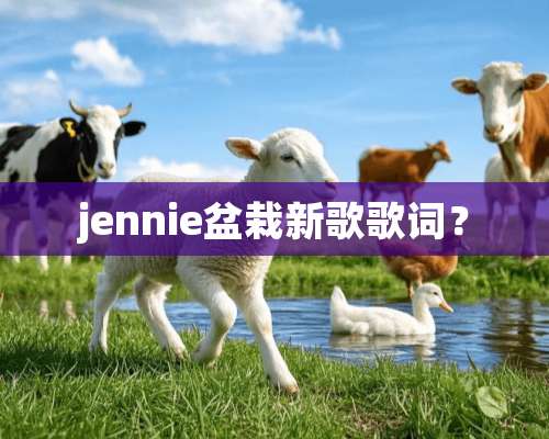 jennie盆栽新歌歌词？