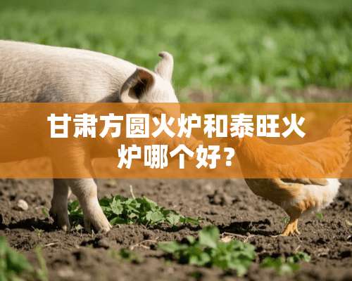 甘肃方圆火炉和泰旺火炉哪个好？