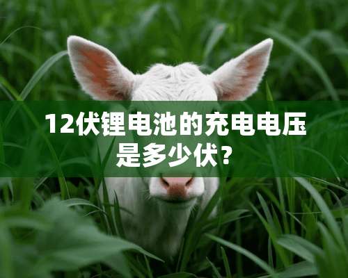 12伏锂电池的充电电压是多少伏？