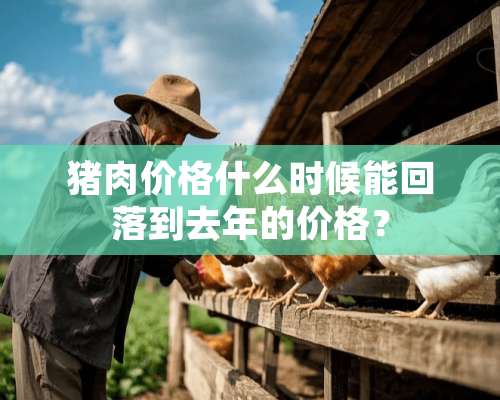 猪肉价格什么时候能回落到去年的价格？