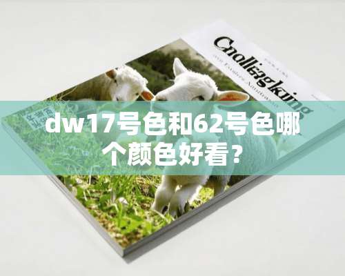 dw17号色和62号色哪个颜色好看？