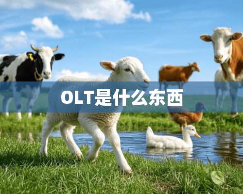 OLT是什么东西