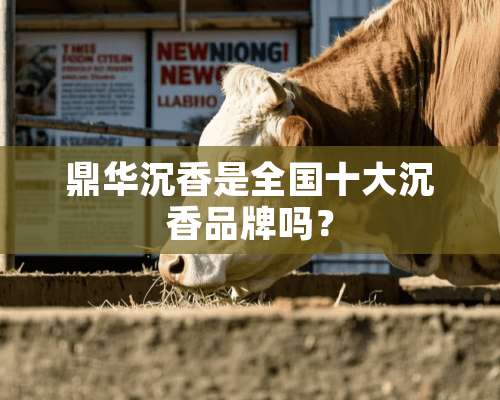 鼎华沉香是全国十大沉香品牌吗？