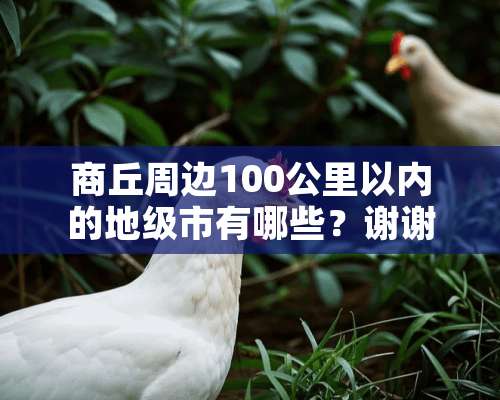 商丘周边100公里以内的地级市有哪些？谢谢。我知道荷泽和亳州。