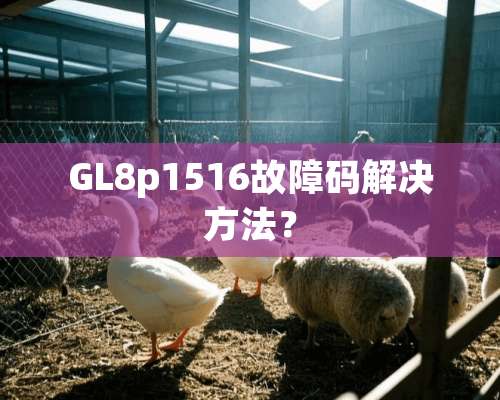 GL8p1516故障码解决方法？