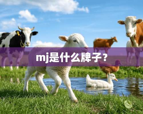 mj是什么牌子？