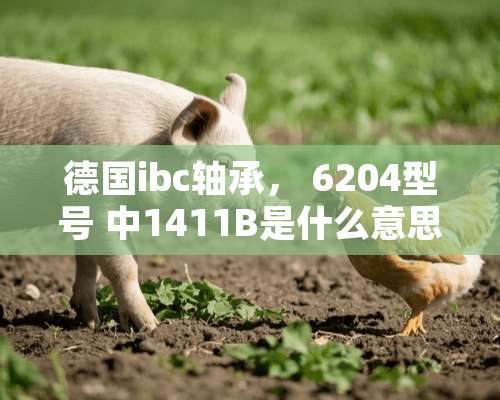 德国ibc轴承， 6204型号 中1411B是什么意思？