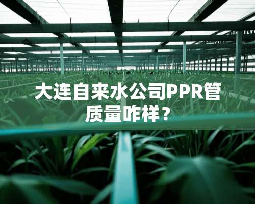 大连自来水公司PPR管质量咋样？