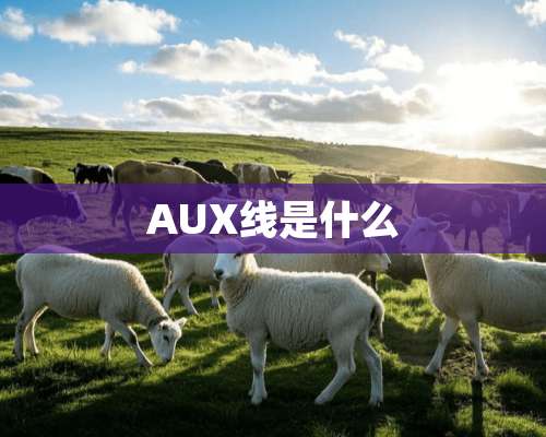 AUX线是什么