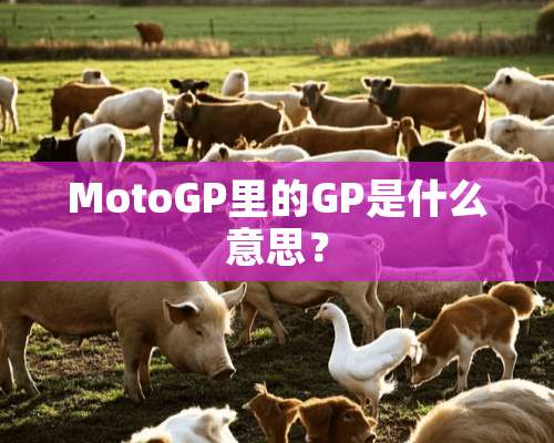 MotoGP里的GP是什么意思？