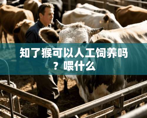 知了猴可以人工饲养吗？喂什么