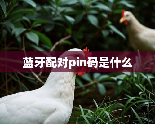 蓝牙配对pin码是什么