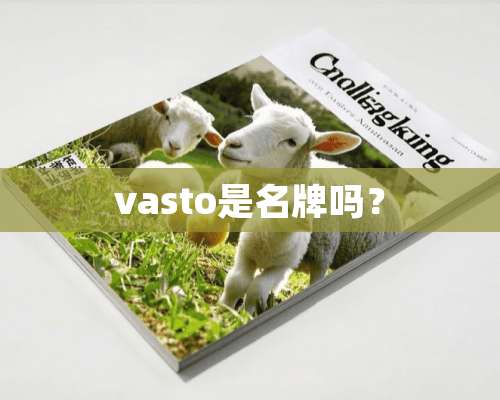 vasto是名牌吗？