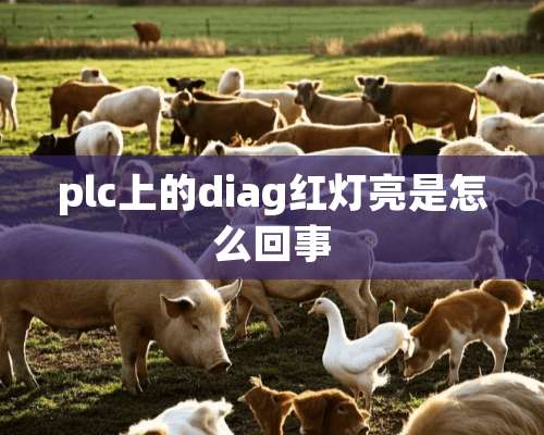 plc上的diag红灯亮是怎么回事