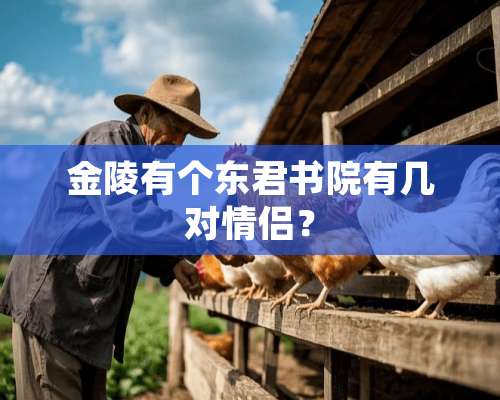 金陵有个东君书院有几对情侣？