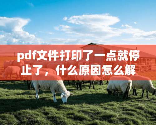 pdf文件打印了一点就停止了，什么原因怎么解决呢？