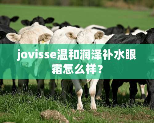 jovisse温和润泽补水眼霜怎么样？