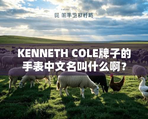 KENNETH COLE牌子的手表中文名叫什么啊？