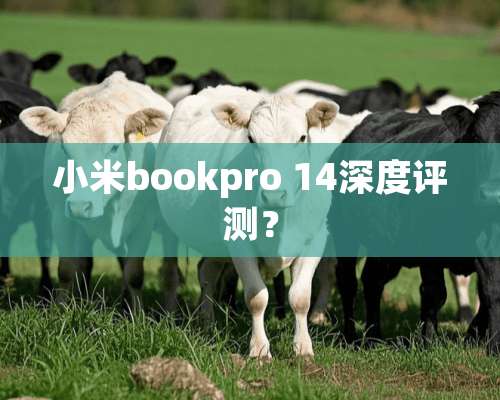 小米bookpro 14深度评测？