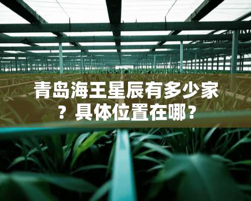 青岛海王星辰有多少家？具**置在哪？