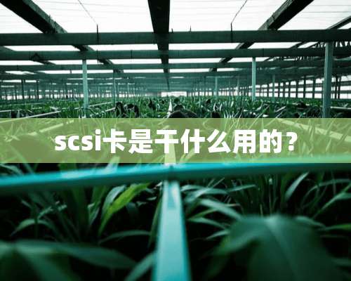 scsi卡是干什么用的？