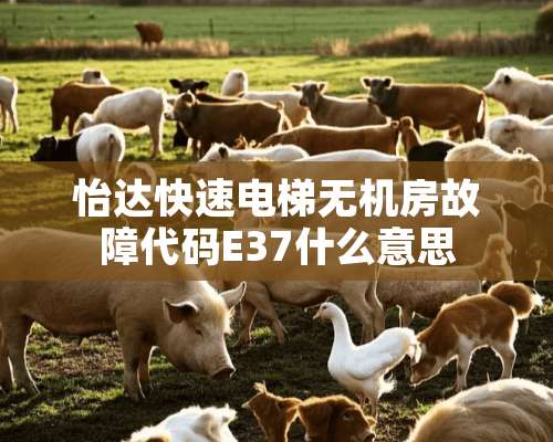 怡达快速电梯无机房故障代码E37什么意思