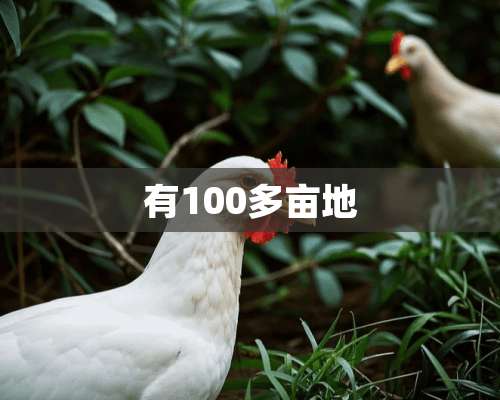 有100多亩地