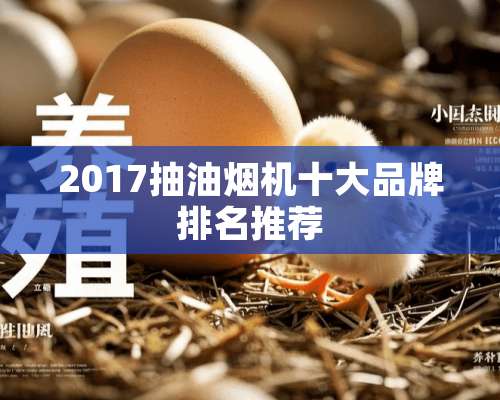 2017抽油烟机十大品牌排名推荐