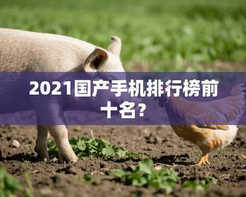 2021国产手机排行榜前十名？