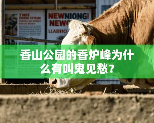 香山公园的香炉峰为什么有叫鬼见愁？