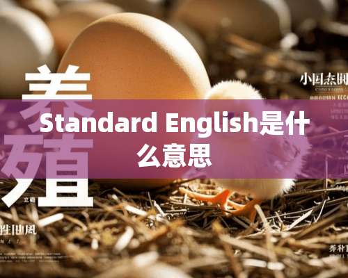 Standard English是什么意思