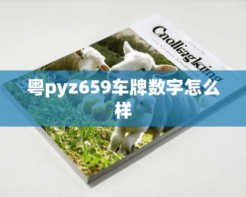 粤pyz659车牌数字怎么样