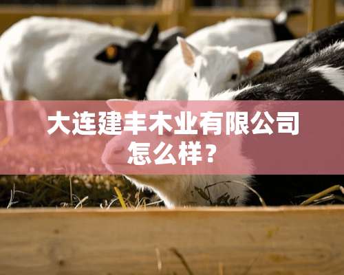 大连建丰木业有限公司怎么样？