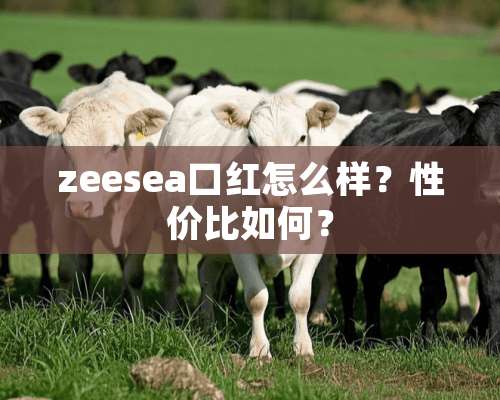 zeesea口红怎么样？性价比如何？