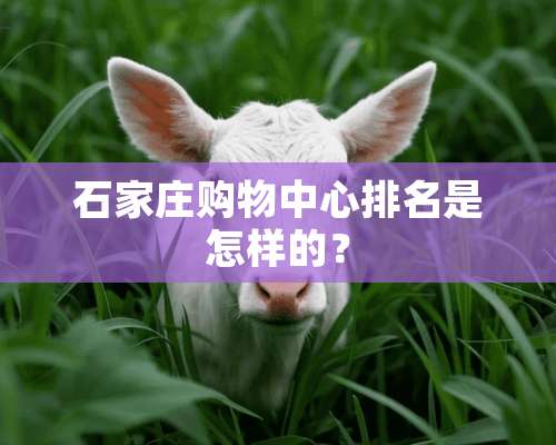 石家庄购物中心排名是怎样的？