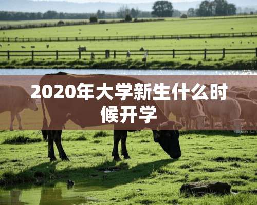 2020年大学新生什么时候开学