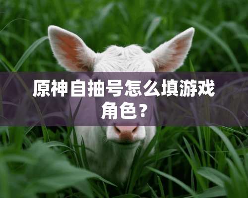 原神自抽号怎么填游戏角色？