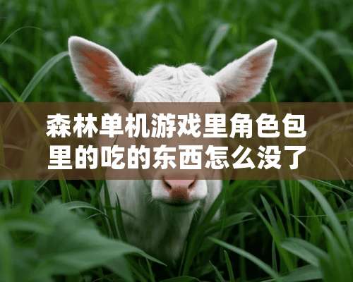 森林单机游戏里角色包里的吃的东西怎么没了