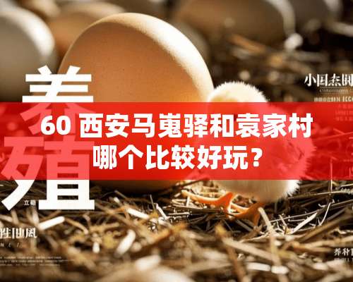 60 西安马嵬驿和袁家村哪个比较好玩？