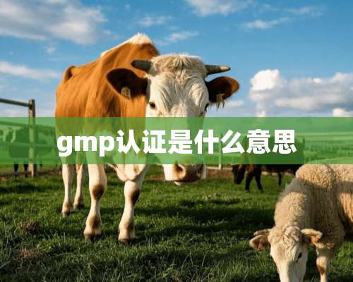 gmp认证是什么意思