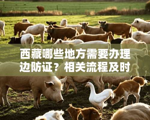 西藏哪些地方需要办理边防证？相关流程及时间是什么？