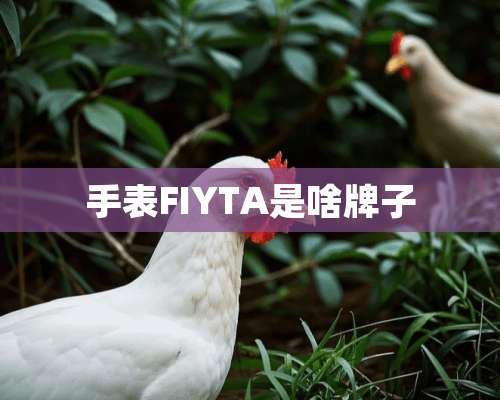 手表FIYTA是啥牌子