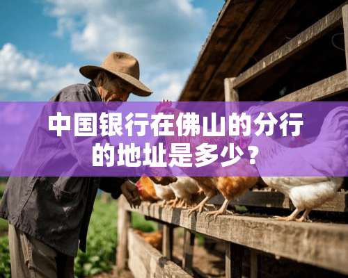 中国银行在佛山的分行的地址是多少？