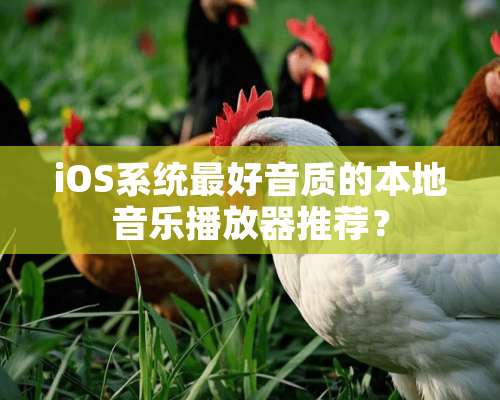 iOS系统最好音质的本地音乐播放器推荐？