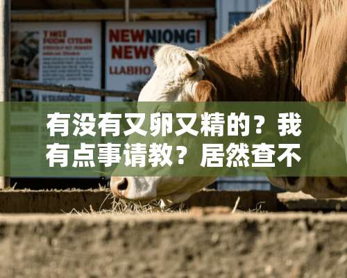 有没有又卵又精的？我有点事请教？居然查不到相关的