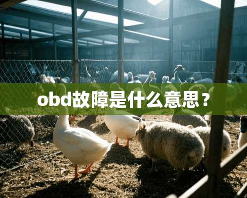 obd故障是什么意思？