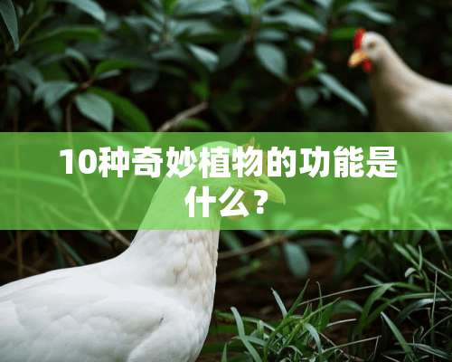 10种奇妙植物的功能是什么？