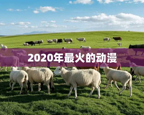 2020年最火的动漫