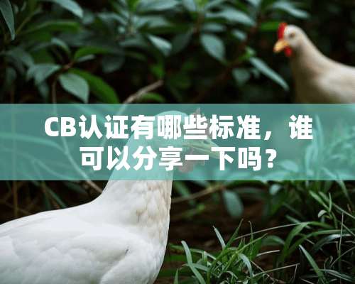 CB认证有哪些标准，谁可以分享一下吗？