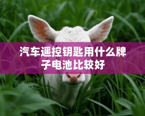 汽车遥控钥匙用什么牌子电池比较好